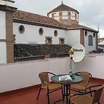 Colon